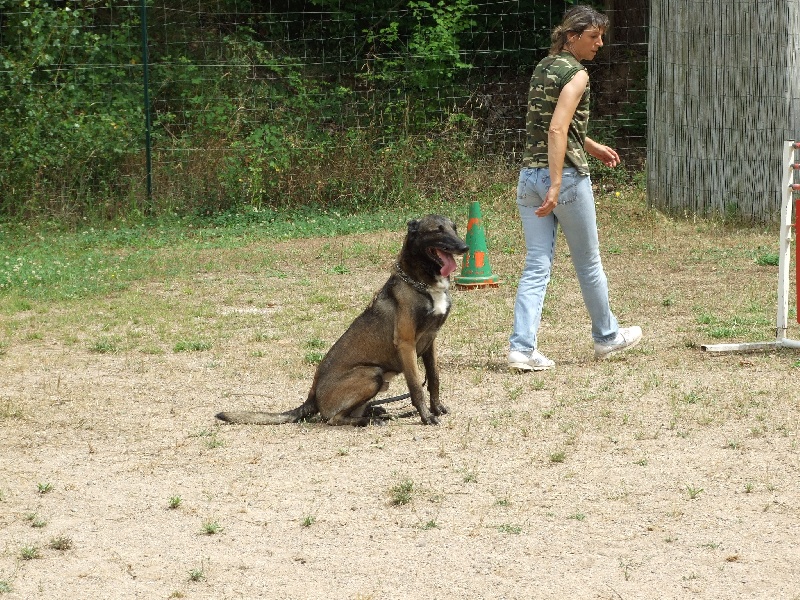 Sanka du vallon des serps